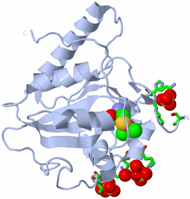 Image Biol. Unit 1 - sites