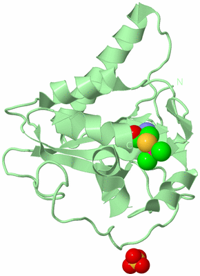 Image Biological Unit 2