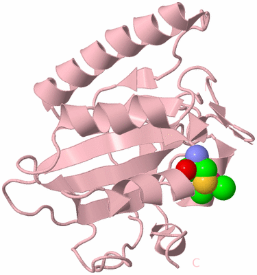 Image Biological Unit 3