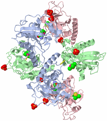 Image Biological Unit 4