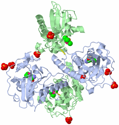 Image Biological Unit 5