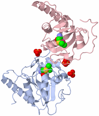 Image Biological Unit 6