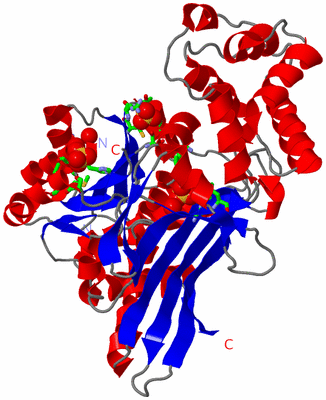 Image Asym. Unit - sites