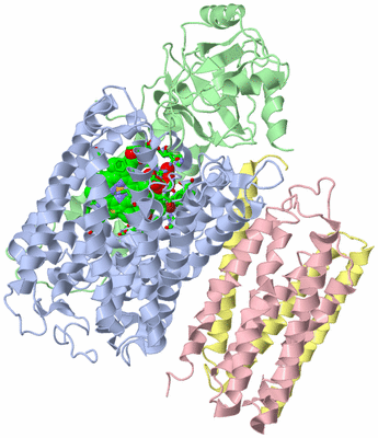 Image Biol. Unit 1 - sites