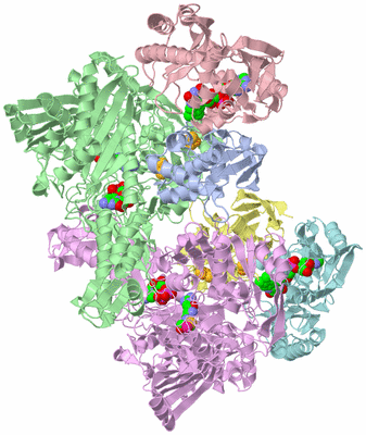 Image Asym./Biol. Unit