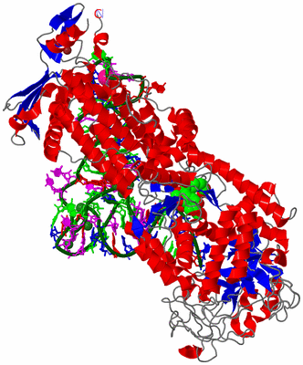 Image Asym./Biol. Unit