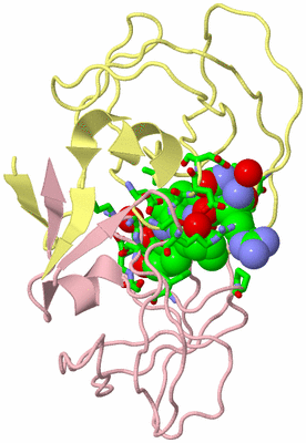 Image Asym./Biol. Unit - sites