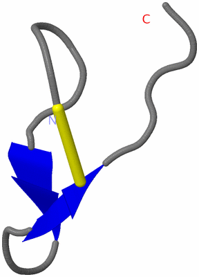 Image NMR Structure - model 1