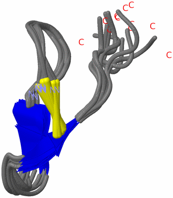 Image NMR Structure - all models