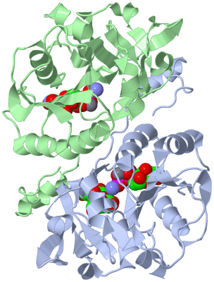 Image Asym./Biol. Unit