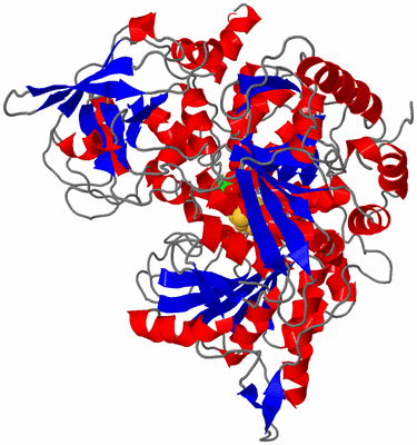 Image Asym./Biol. Unit