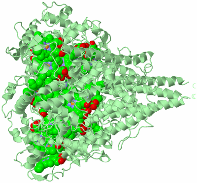 Image Biological Unit 2