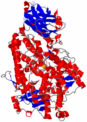 Image Asym./Biol. Unit