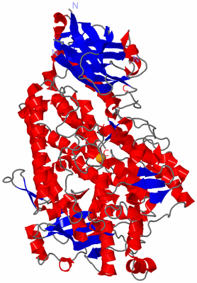 Image Asym./Biol. Unit