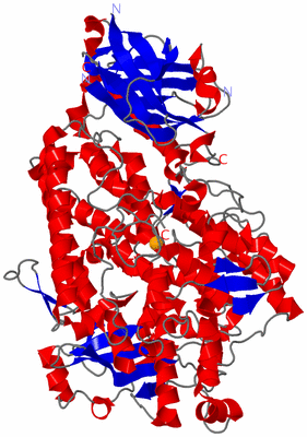 Image Asym./Biol. Unit