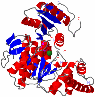 Image Asym./Biol. Unit