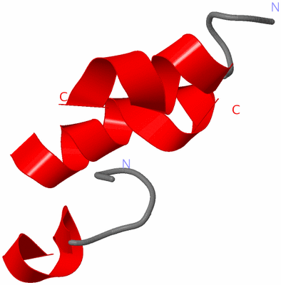 Image NMR Structure - model 1