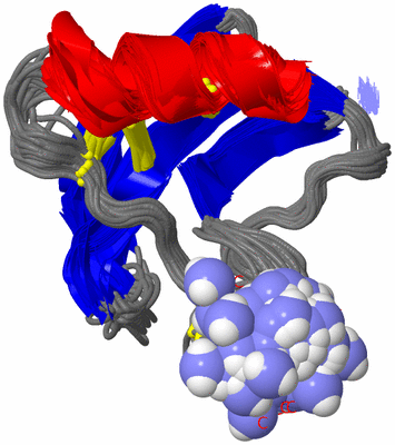 Image NMR Structure - all models