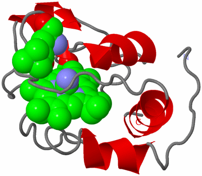 Image NMR Structure - model 1