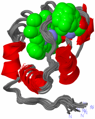 Image NMR Structure - all models