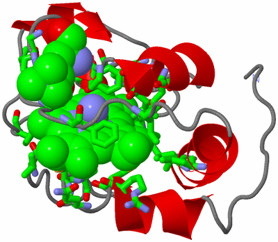 Image NMR Structure - model 1, sites