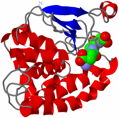 Image Asymmetric Unit
