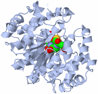 Image Biological Unit 1