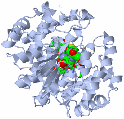 Image Biol. Unit 1 - sites
