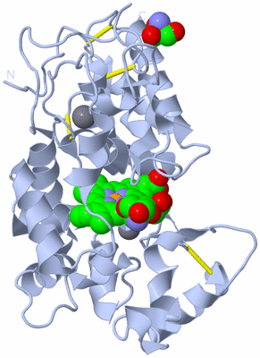 Image Biological Unit 1