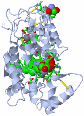 Image Biol. Unit 1 - sites