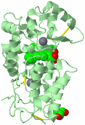 Image Biological Unit 2