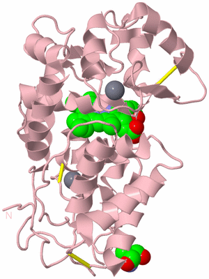 Image Biological Unit 3