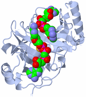 Image Biological Unit 1