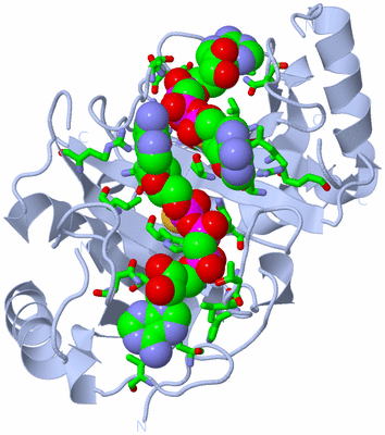 Image Biol. Unit 1 - sites