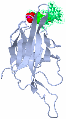 Image NMR Structure - model 1