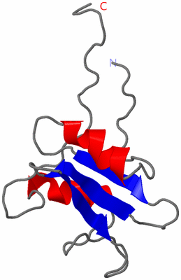 Image NMR Structure - model 1