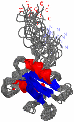 Image NMR Structure - all models