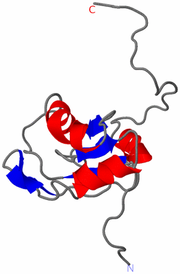 Image NMR Structure - model 1