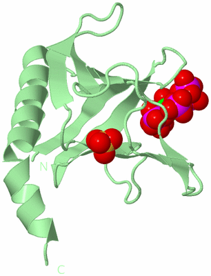 Image Biological Unit 2