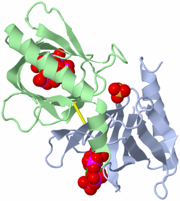 Image Biological Unit 3