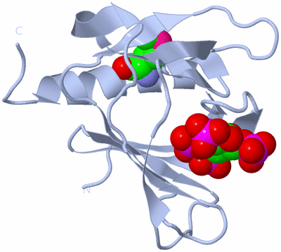 Image Biological Unit 1