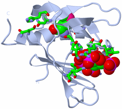 Image Biol. Unit 1 - sites