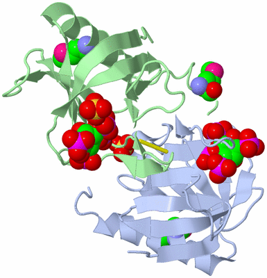 Image Biological Unit 3