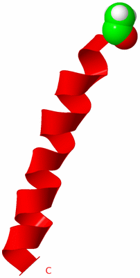 Image NMR Structure - model 1