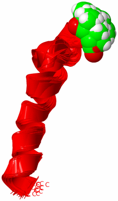 Image NMR Structure - all models