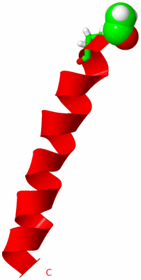 Image NMR Structure - model 1, sites