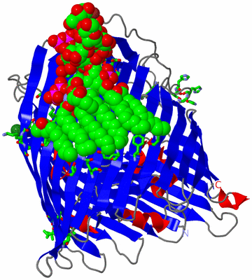 Image Asym./Biol. Unit - sites