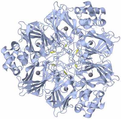 Image Biological Unit 1