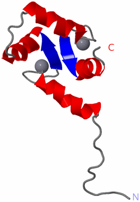 Image NMR Structure - model 1