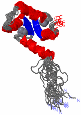 Image NMR Structure - all models